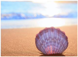Come conquistare un uomo sulla spiaggia