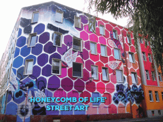 Honeycomb of Life - street art di Marina Zumi