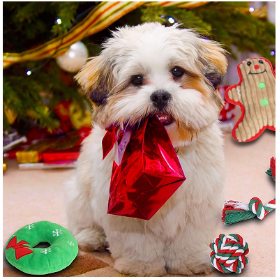Giochi di Natale per cani