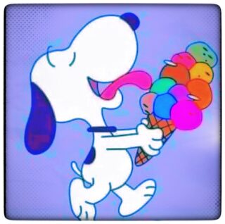 Gelato light fatto in casa: la ricetta comica e facile di Prosdocimi 🐶