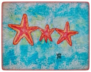 Anomalia in famiglia: l'asta comica della famiglia di stelle marine di Prosdocimi