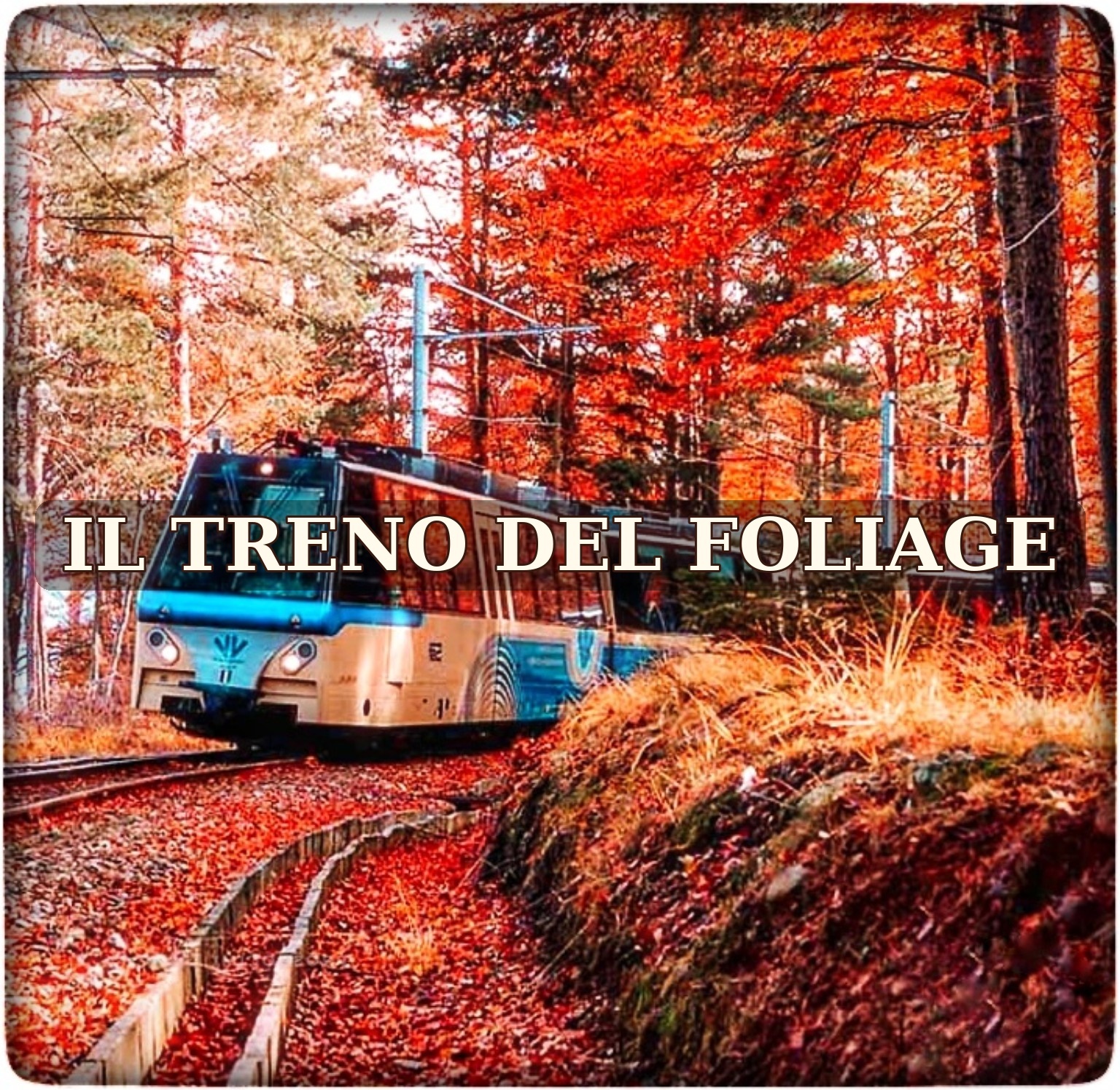 Treno del Foliage 2026: colori d'autunno tra Italia e Svizzera